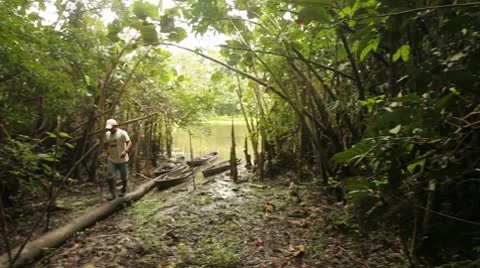 Man In Rainforest Video stock 10753373