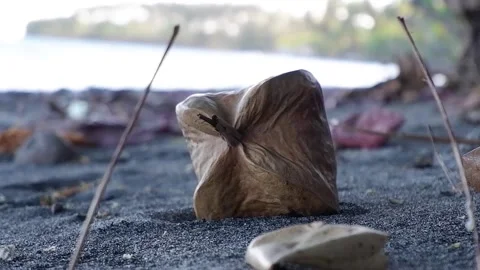 The man raised the fruit. Video stock 137941393