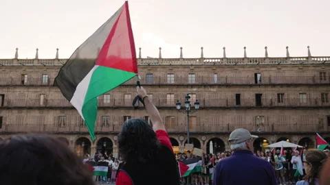 Man raises Palestinian flag during protest Video stock 317342941