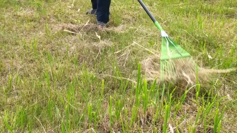 A man rakes grass in a garden plot with a metal rake Stock Footage 312947833