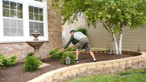 Man raking, doing physical yard work in a garden landscape area, 4k, 60fps. Stock Footage 115849621
