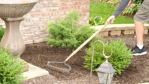 Man raking, doing yard work in a garden landscape area, 4k, 60fps. Stock Footage 115849306