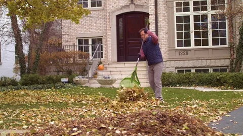 Man Raking Leaves 1 Video stock 84073897