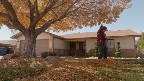 Man Raking Leaves in Front Yard Stock Footage 100305701