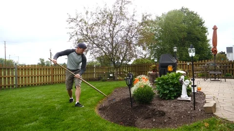Man raking mulch, doing yard work in a garden landscape area, 4k, 60fps. Stock Footage 115849490