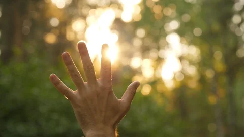 Man reach out hand to sun shine, close up Stock Footage 90987393