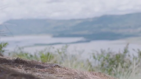 Man reaching top of the mountain Stock Footage 71798754