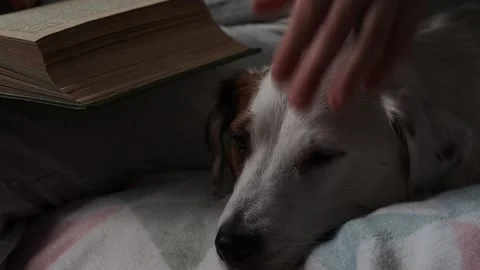 A man reading a book in close-up. Recreation, a favorite hobby t mental health. Stock Footage 225854067