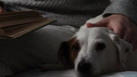 A man reading a book in close-up. Recreation, a favorite hobby t mental health. Stock Footage 225854086