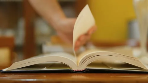 Man reading book in leisure time,knowledge study concept,relax lifestyle Stock Footage 219515925