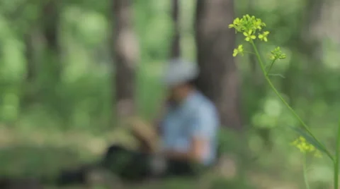 Man reading a book on nature. Stock Footage 63836162