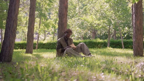 Man Reading Book in Park Surrounded by Trees Under Soft Sunlight showing outdoor Stock Footage 345127332