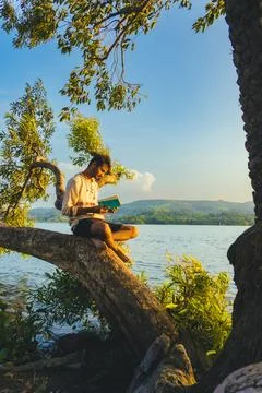 Man reading book on tree branch by lake, serene nature, golden hour light, .. Stock Photos