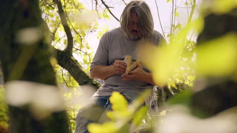 Man Reading Book in Tree on Peaceful Summer Day Stock Footage 300892039