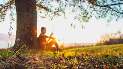 A man reading a book under a tree in the warm glow of sunset. Foto stock