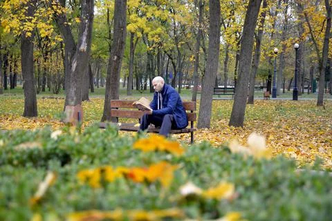 Man reading a book while sitting on a bench in autumn park Stock Photos