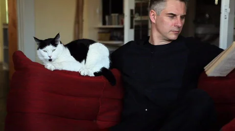 Man reading on couch with cat Vídeo Stock 641685
