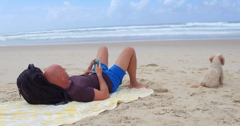 Man reading his e-mails on phone on beach while his dog is sitting still next Stock Footage 87999188