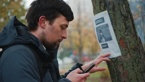A man reads an advertisement about the loss of a dog in a tree in the park and Stock Footage 319023289