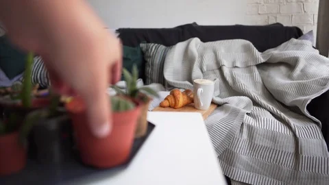 A man rearranges small flower pots on a white table - against the background is Stock Footage 114158442