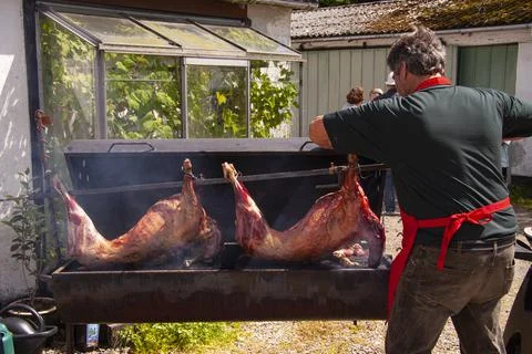 Man with red apron roasting two whole pigs slowly on a grill Stock Photos