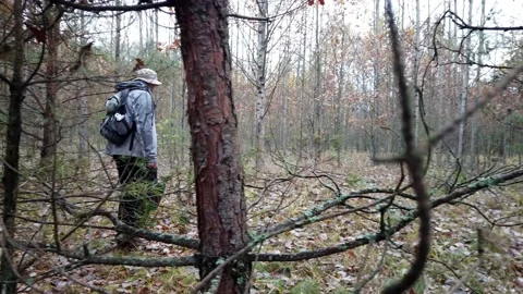 Man in the red forest Stock Footage 180038690