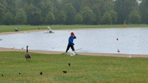 Man In The Red Hat And Blue Coat Walks In The Rain In Hyde Park Stock Footage 104845688