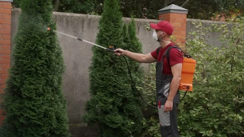 Man in a red hat is spraying a tree with a hose Stock Footage 289744018