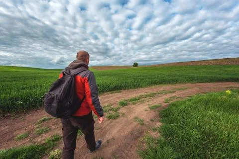 A man in a red jacket with a backpack walks along a dirt road in a green field Stock Photos