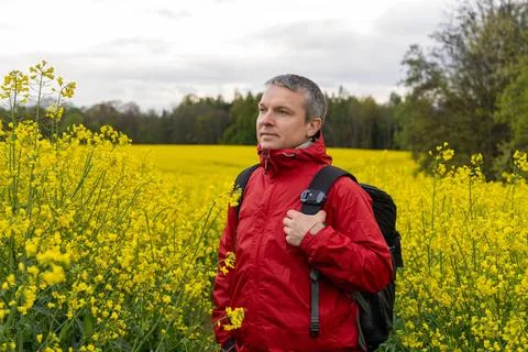 Man in red jacket standing in vibrant yellow rapeseed field. Springtime outdo Stock Photos