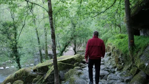 Man in red jacket walking on a stone path in the forest Stock Footage 344531049
