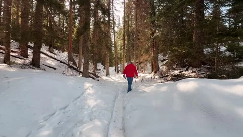 Man in Red Jacket Walking Through Snowy Forest Trail in Winter Mountains 動画素材 332416431