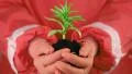 Man in red protective suit holding soil and a green young plant in hands HD Footage