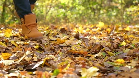 Man in red shoes walks through the autumn forest. Orange boots on yellow dry Stock Footage 239278596