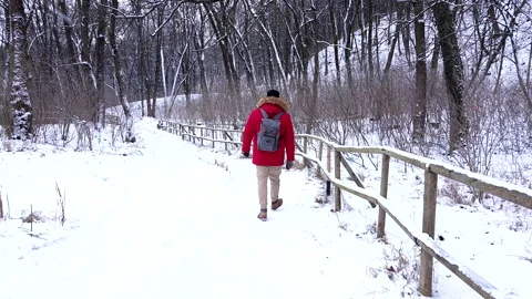Man in red winter coat walking by snowed forest Stock Footage 149944761