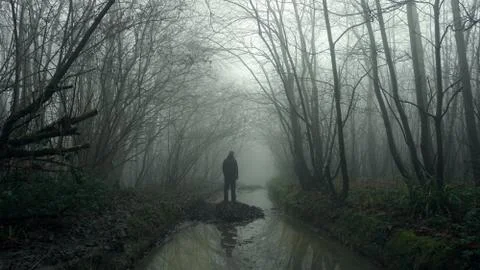 A man reflected in a forest stream. On a spooky foggy misty day. Stock Photos