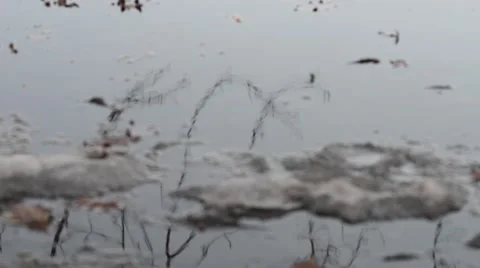 Man Reflected in a Puddle Moves Towards the Camera Across a Puddle Stock Footage 47855566