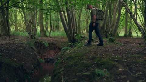 A man relaxing and exploring in a British autumn woodland Stock Footage 344531398