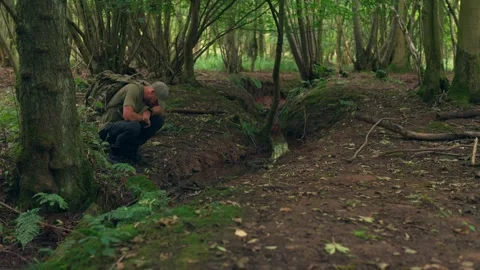 A man relaxing and exploring in a British autumn woodland Stock Footage 344532425