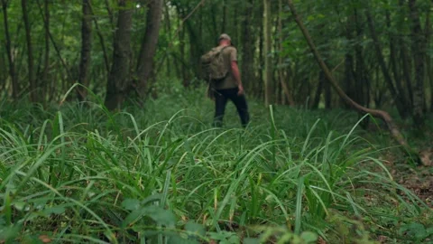A man relaxing and exploring in a British autumn woodland Stock Footage 344532571