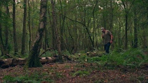 A man relaxing and exploring in a British autumn woodland Stock Footage 344533856