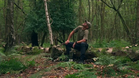 A man relaxing and exploring in a British autumn woodland Stock Footage 344534444