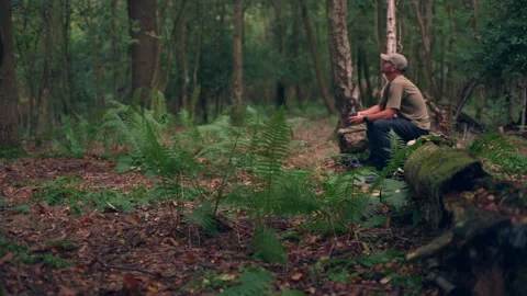 A man relaxing and exploring in a British autumn woodland Stock Footage 344534763