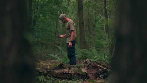 A man relaxing and exploring in a British autumn woodland Stock Footage 344534918
