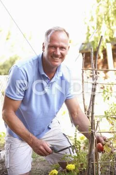 Man Relaxing In Garden Stock Photos