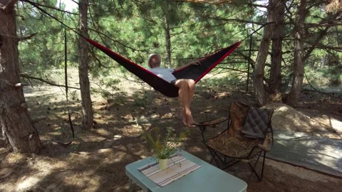 Man Relaxing in Hammock Between Trees in Pine Forest on Sunny Summer Day Stock-Footage 290208364