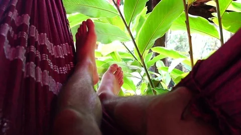 Man Relaxing on Hammock Video stock 80922876