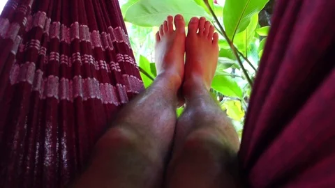 Man Relaxing on Hammock Stock Footage 80923136
