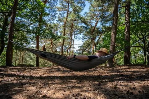 Man Relaxing In Hammock Under Pine Trees In Sunny Forest With Straw Hat And.. Stock Photos