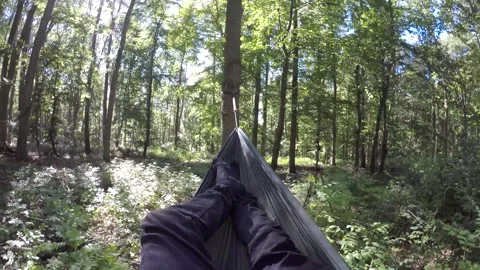 Man Relaxing in Hammock while Camping in the Woodland Forest Stock Footage 306871230